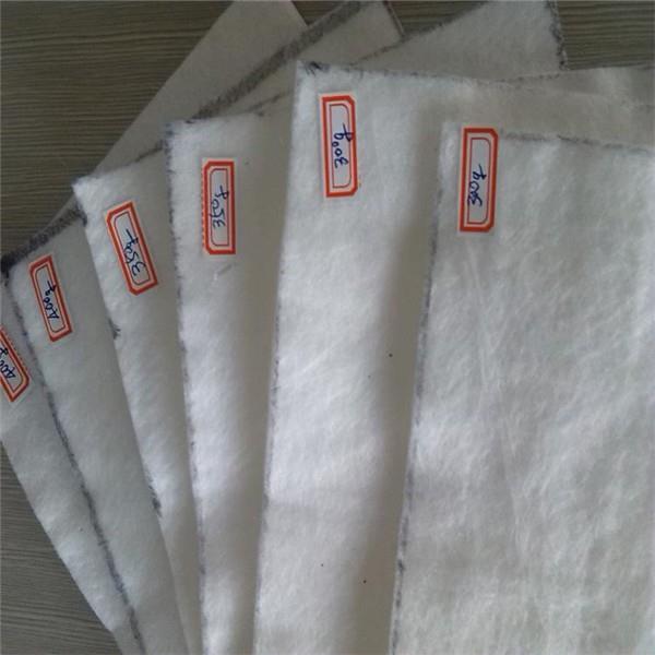 Filament Needle Punched Geotextile